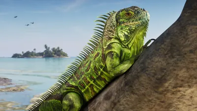 Cayos de Leónida, imagen oficial de GTA VI