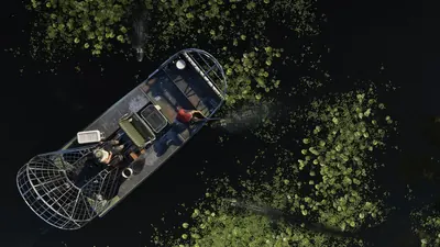 Grassrivers, imagen oficial de GTA VI